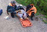 65-летнюю рыбачку придавило деревом на берегу Тудозера