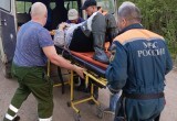 65-летнюю рыбачку придавило деревом на берегу Тудозера