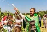 Троицкое гулянье