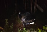 В ДТП под Череповцом пострадал ребенок
