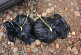В акватории Тудозера полиция задержала мужчину со ставными сетями и незаконным уловом