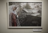 Свадебным песням затопленного села посвящена выставка в Вологде
