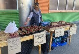 Ягод из Майского - нет. Да здравствует продукция из Краснодара, Крыма и Азербайджана?..