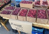 Ягод из Майского - нет. Да здравствует продукция из Краснодара, Крыма и Азербайджана?..