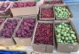 Ягод из Майского - нет. Да здравствует продукция из Краснодара, Крыма и Азербайджана?..