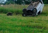 В Вологодском округе во время ДТП из машины выкинуло водителя – он погиб