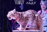 http://Grandicesafari.ru 