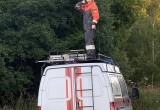 Застряли в болоте: как поисковики спасали пожилую пару в вологодских лесах