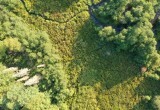 Застряли в болоте: как поисковики спасали пожилую пару в вологодских лесах