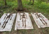 В Вытегорском районе обнаружены останки 11 солдат Красной армии