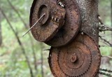 В Вытегорском районе обнаружены останки 11 солдат Красной армии