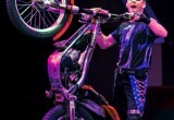 https://vk.com/circus.zoloto.afriki