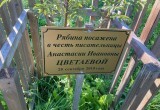 В одиннадцатый раз зажгут на Вологодчине «Цветаевский костер» 27 сентября