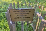 В одиннадцатый раз зажгут на Вологодчине «Цветаевский костер» 27 сентября