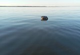 На Белом озере рыбаки вытаскивают из воды мусор вместо рыбы