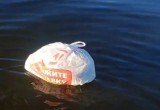 На Белом озере рыбаки вытаскивают из воды мусор вместо рыбы