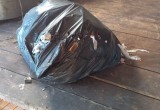 На Белом озере рыбаки вытаскивают из воды мусор вместо рыбы