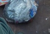 На Белом озере рыбаки вытаскивают из воды мусор вместо рыбы