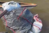 На Белом озере рыбаки вытаскивают из воды мусор вместо рыбы