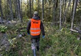 Показательная история поисков человека на примере не вернувшегося из леса вологжанина Виталия Хромцова 