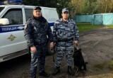 В Череповце овчарка помогла задержать грабителя по горячим следам