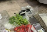 На Вологодчине ФСБ пресекла межрегиональный канал распространения наркотиков