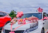 Под Вологдой отметят День автомобилиста: конкурсы, шоу и семейный отдых