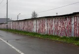 Планку в 100 муралов перешагнули художники фестиваля стрит-арта «Палисад» в Вологде
