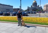 Замечательного полицейского пса Бакса в Череповце проводили на пенсию