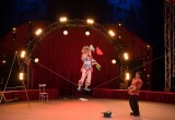 Новогоднее цирковое шоу &laquo;Полосатый рейс&raquo;