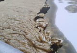 Жителей поселка Кувшиново смутил цвет воды в реке Вологде