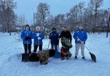 &laquo;Снежный десант&raquo; &laquo;Молодой Гвардии Единой России&raquo;: Зимняя акция доброты и заботы