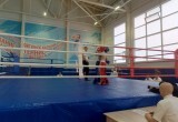 В Вологде стартовали Чемпионат и Первенство СЗФО по кикбоксингу