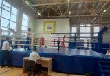 В Вологде стартовали Чемпионат и Первенство СЗФО по кикбоксингу