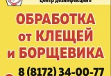 Центр дезинфекции в Вологде открывает сезон охоты на клещей и борщевик и разыгрывает подарки