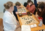 Вологда вновь стала центром стратегических баталий го