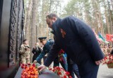 АО &laquo;Транснефть &ndash; Север&raquo; провело мероприятия в честь 81-й годовщины Великой Победы