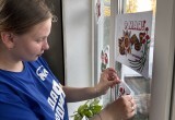 Молодогвардейцы провели мастер-классы и акции к 9 мая