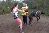 Вологодская сборная успешно выступила на Кубке России и Всероссийских соревнованиях по ездовому спорту