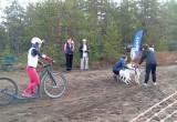 Вологодская сборная успешно выступила на Кубке России и Всероссийских соревнованиях по ездовому спорту