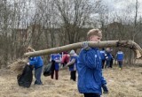 Молодогвардейцы провели субботники в Вологодской области