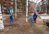 Молодогвардейцы провели субботники в Вологодской области
