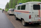 В Кичменгско-Городецком округе пьяный водитель убежал в лес после аварии