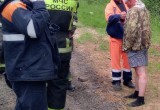 В Кичменгско-Городецком округе пьяный водитель убежал в лес после аварии
