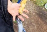 В Белозерске спасатели помогли ребенку, палец которого застрял в качели