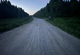 Два подростка столкнулись на мотоциклах в Вологодском округе