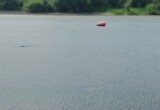 Жители Вологды пожаловались на загрязнение реки и неприятный запах от воды