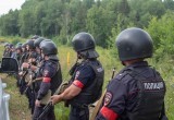 Попытка теракта предотвращена: в Шекснинском округе прошли учения силовиков