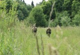 Попытка теракта предотвращена: в Шекснинском округе прошли учения силовиков