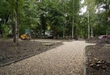 Более 120 деревьев дополнительно высадят в ходе благоустройства в Кремлёвском саду Вологды